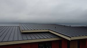 Best Rubber Roofing (EPDM, TPO)  in Avon, CO